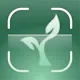 LeafyLens