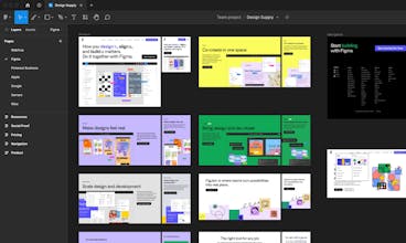 Design Supply gallery image