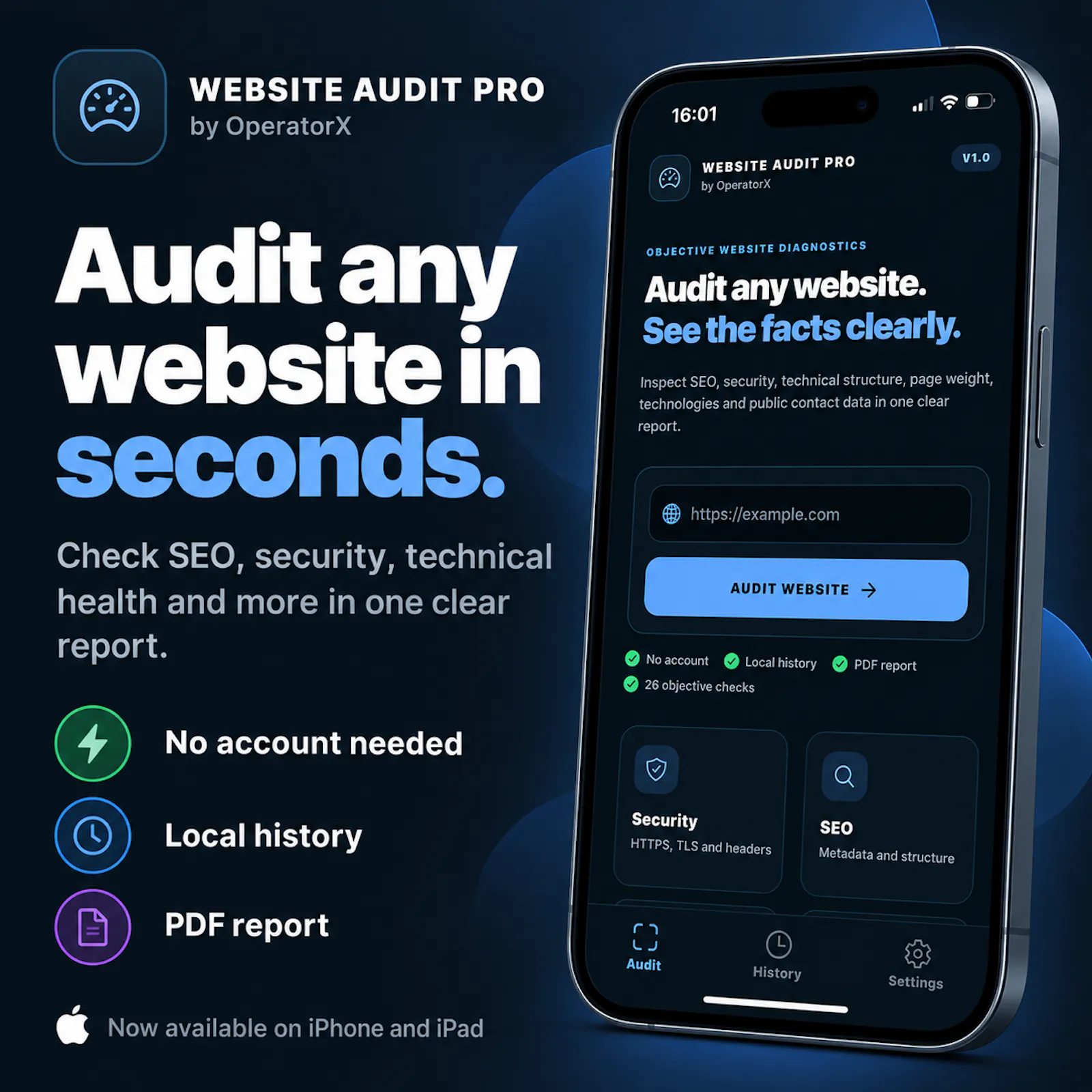 Website Audit Pro screenshot 1
