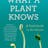 What a Plant Knows