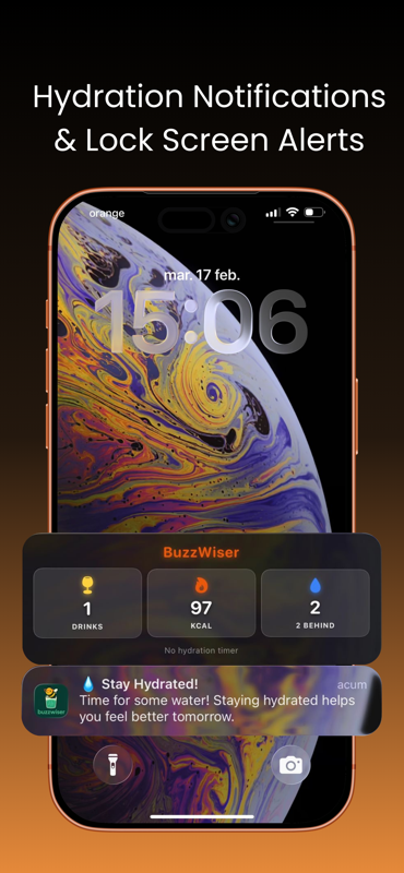 BuzzWiser - Drink less alcohool gallery image