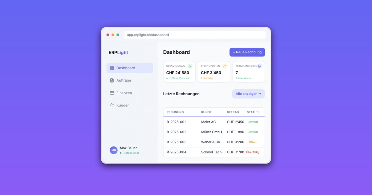 ERPLight - Main product screenshot demonstrating key features and user interface