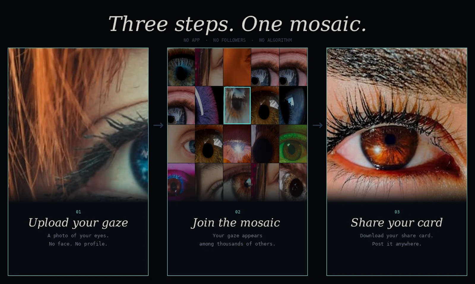 EyeMark screenshot 3