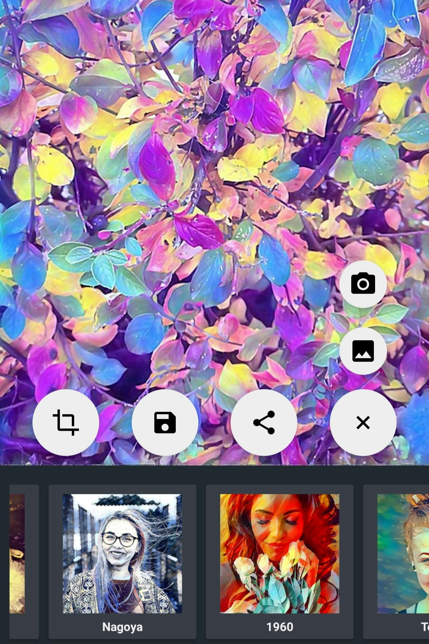 Unstellar gallery image