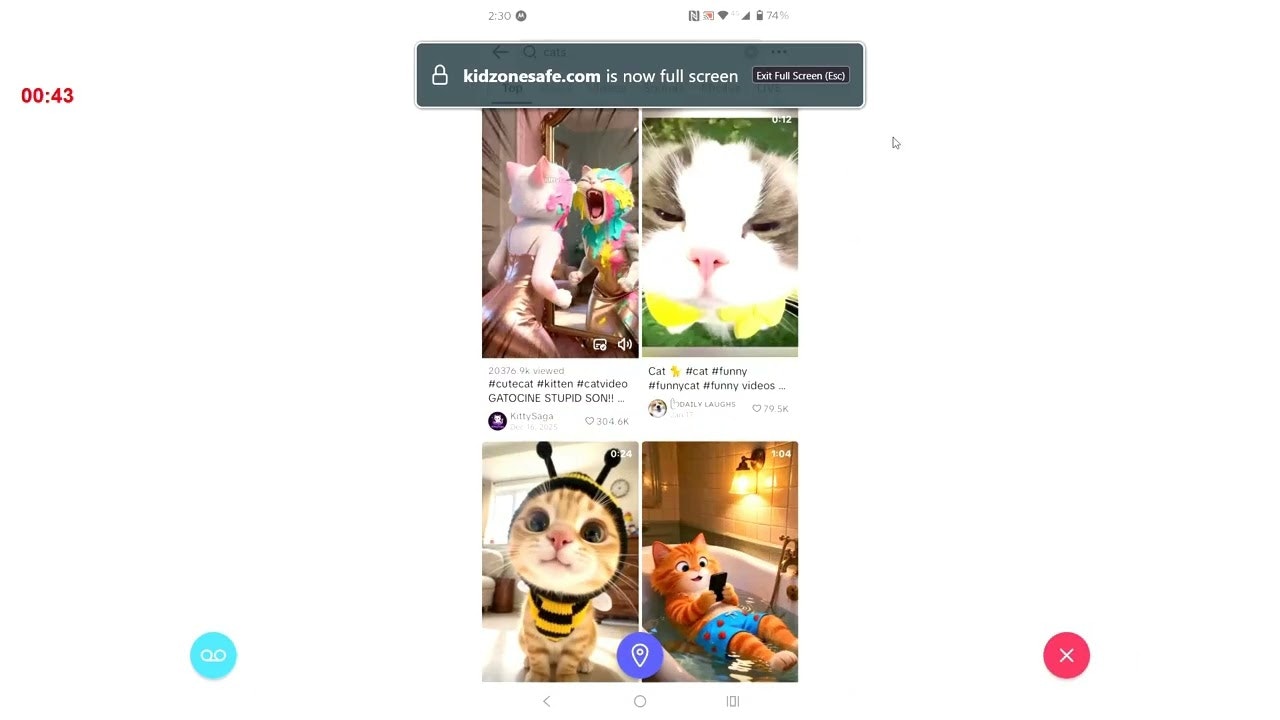 KidZoneSafe gallery image