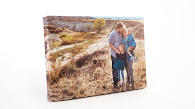 SnapCanvases gallery image