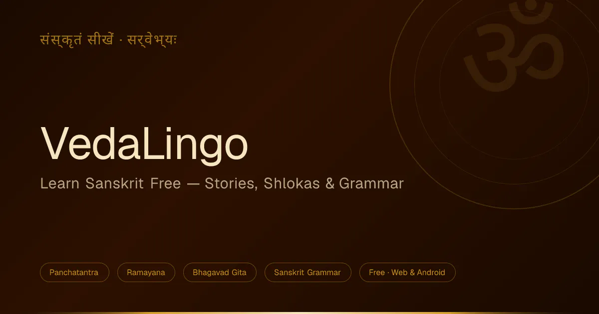 VedaLingo gallery image