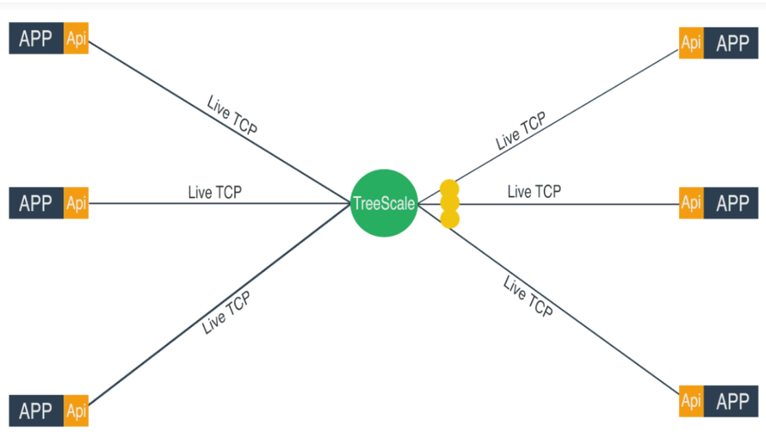 TreeScale gallery image