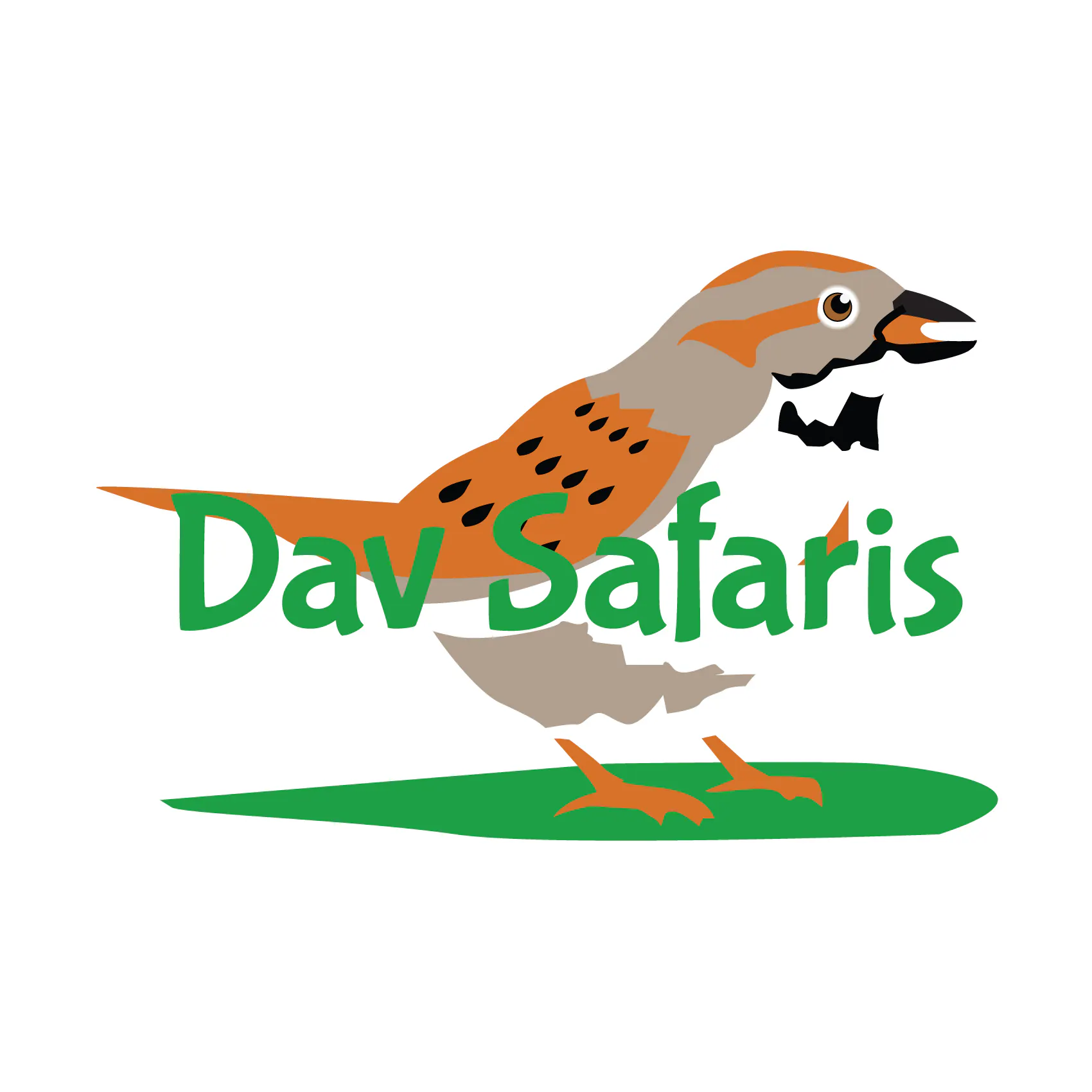 Dav Safaris