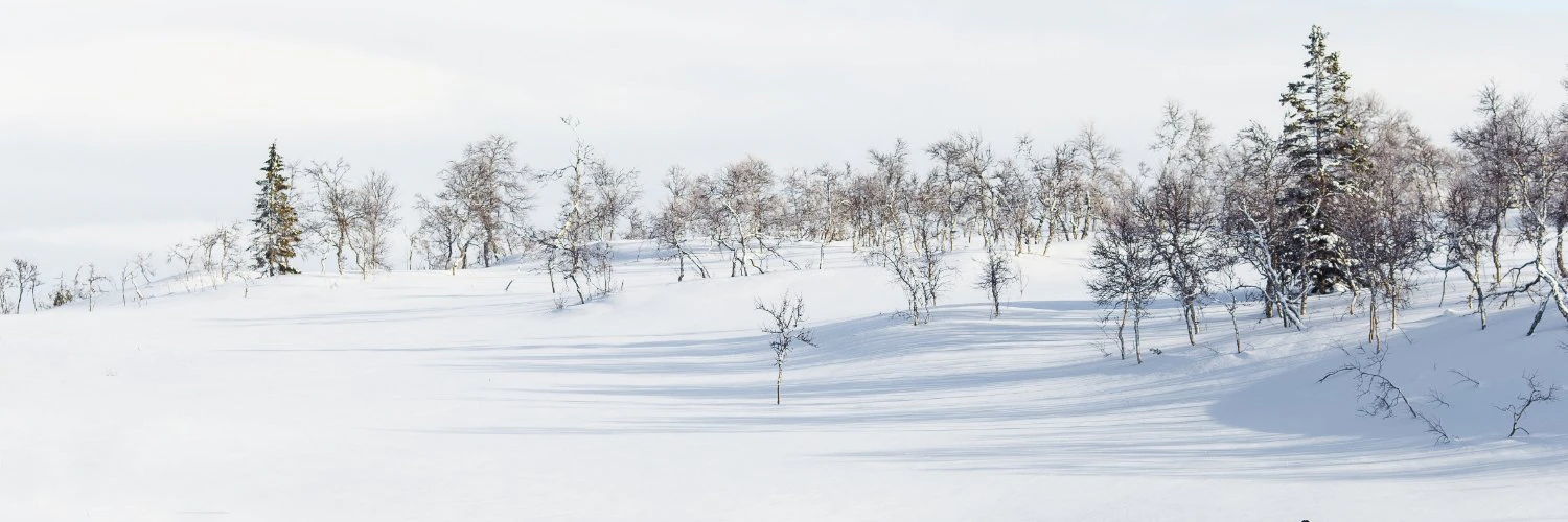 Willian Matiola cover