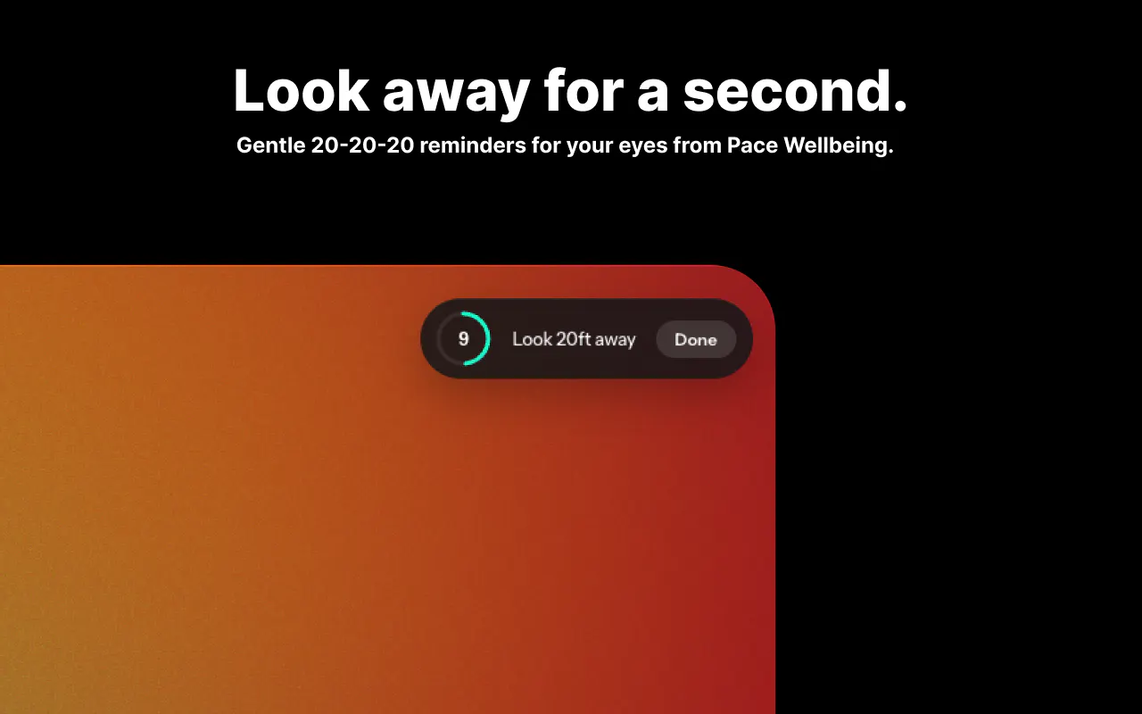 Pace gallery image