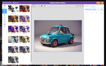 Embed photo editor gallery image