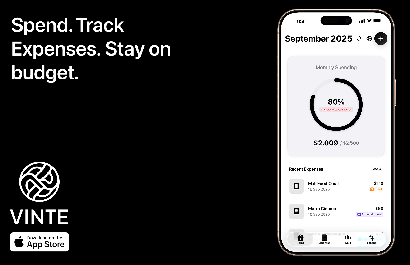 Vinte: Manage your finances easily - Main product screenshot demonstrating key features and user interface