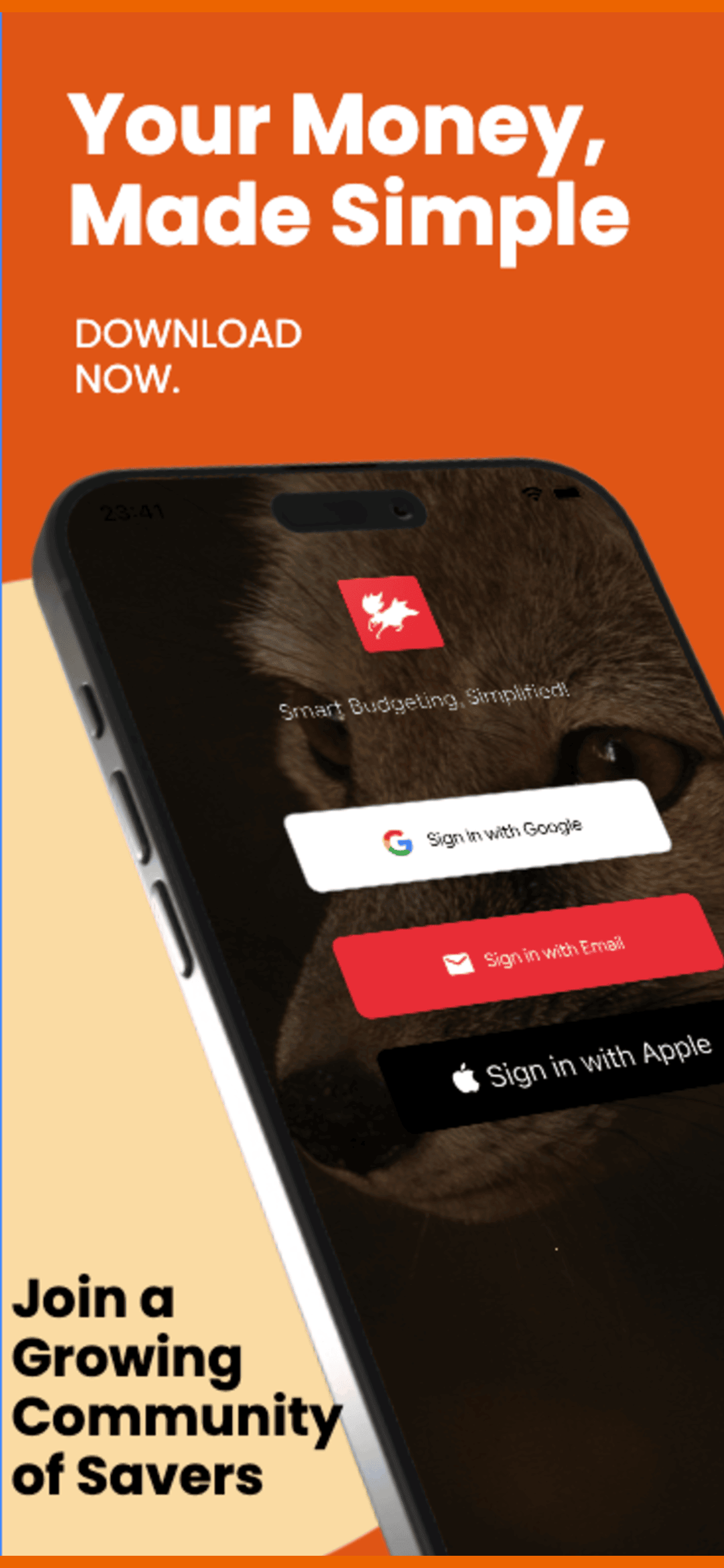 BudgetFox - Budgeting with AI - Main product screenshot demonstrating key features and user interface