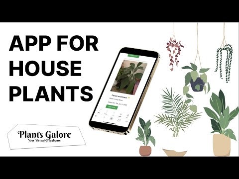 PlantsGalore gallery image