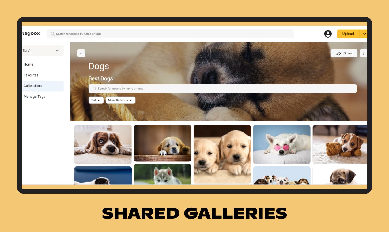 Tagbox.io - Фотографии Google для бизнеса медиа 5