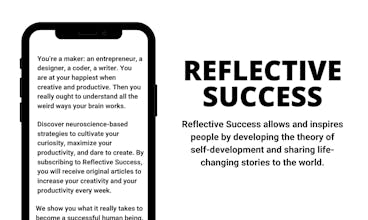 Reflective Success gallery image