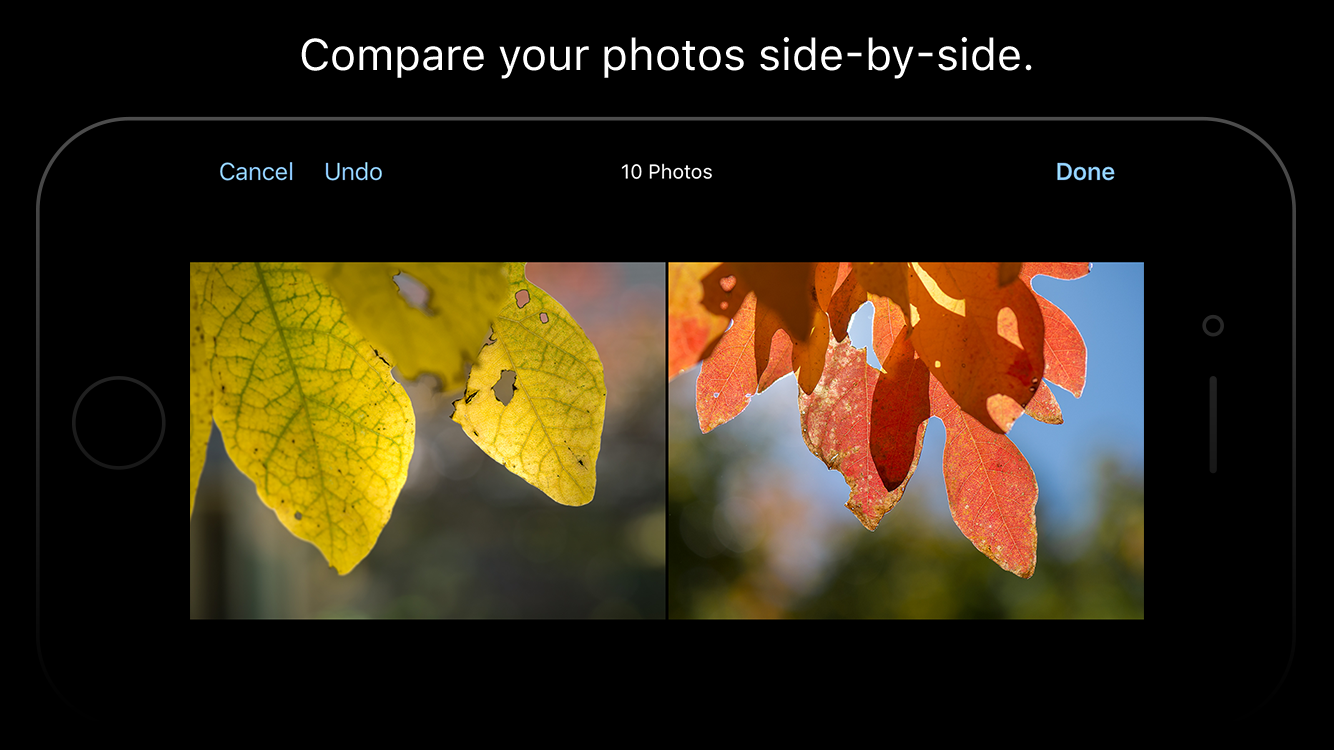 Keepers gallery image
