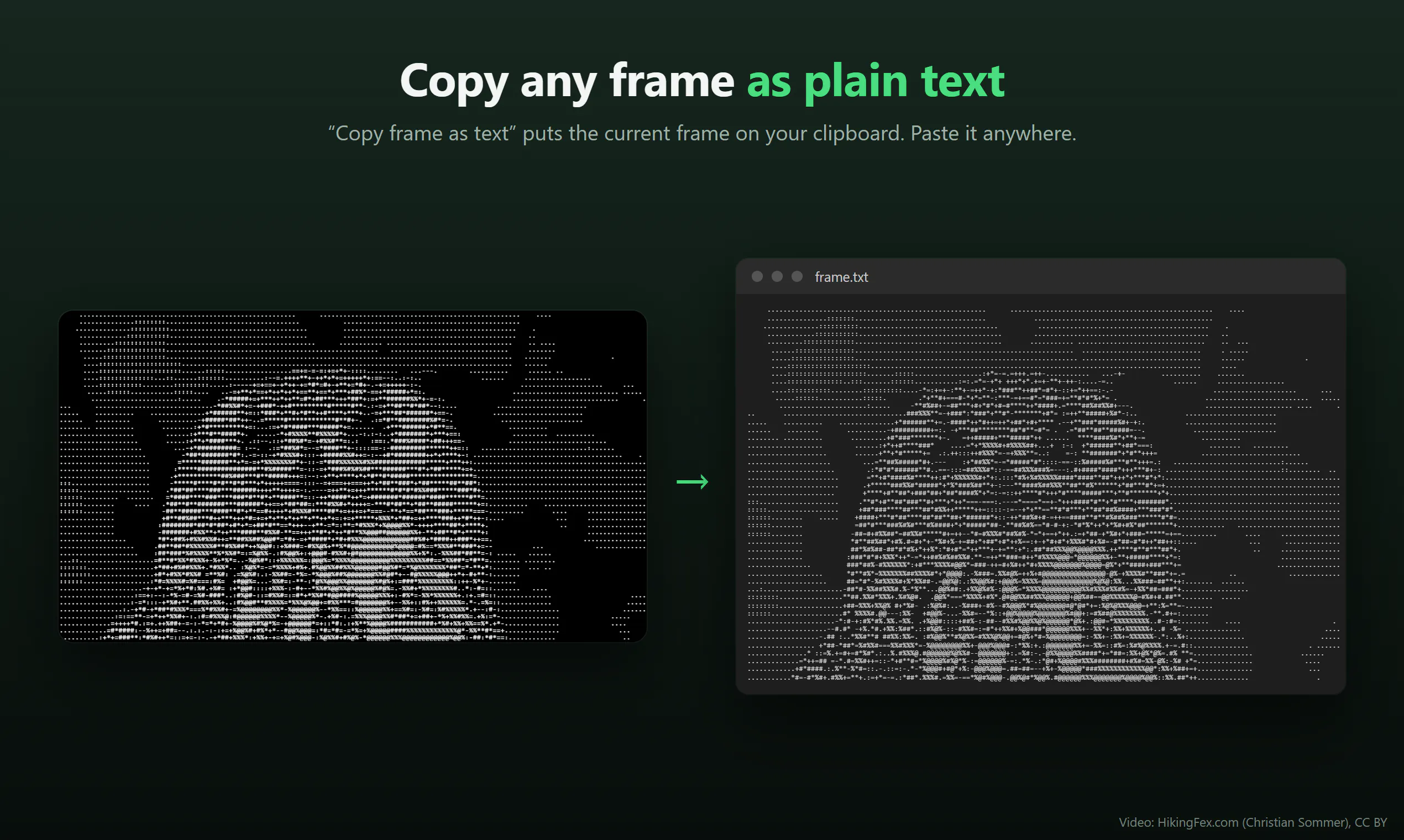 ASCII Player gallery image