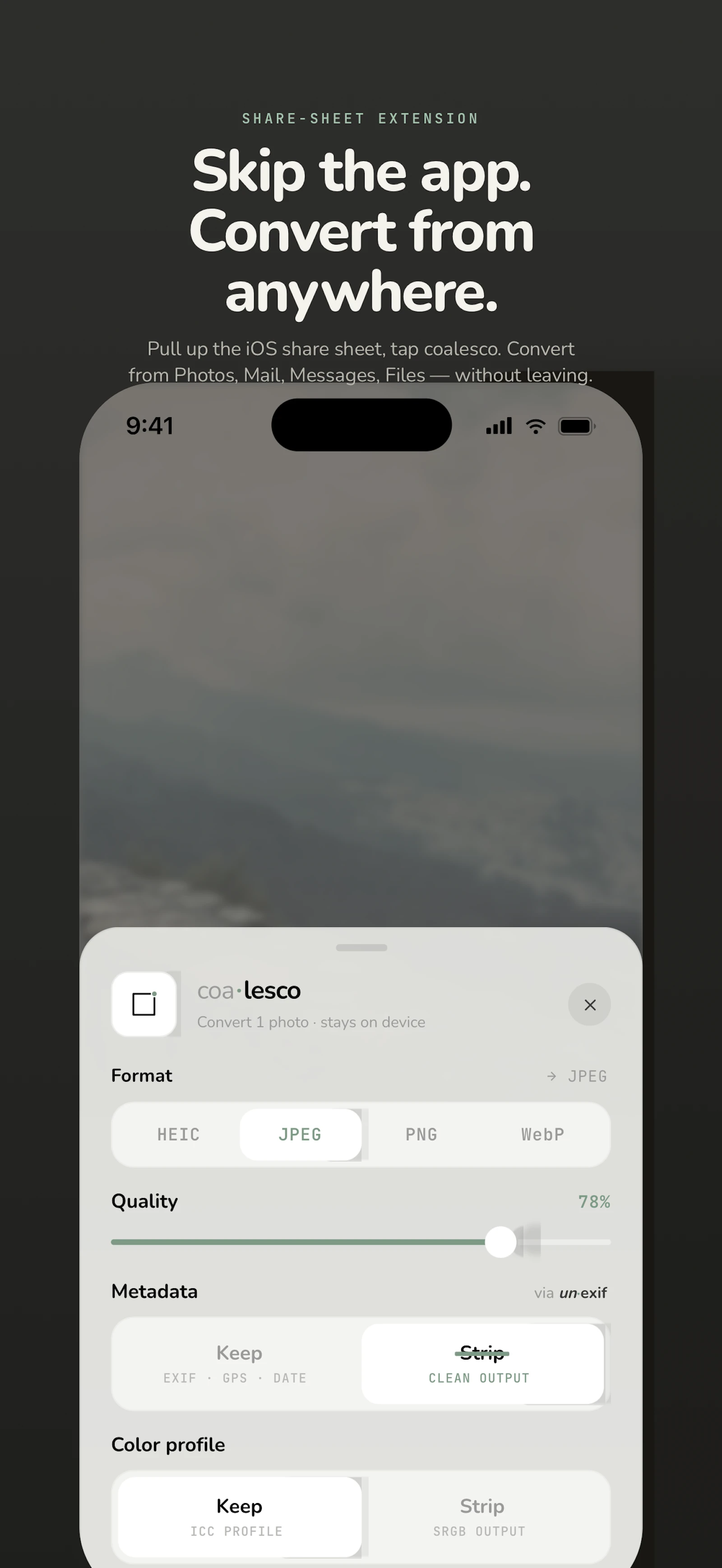 coalesco screenshot 3