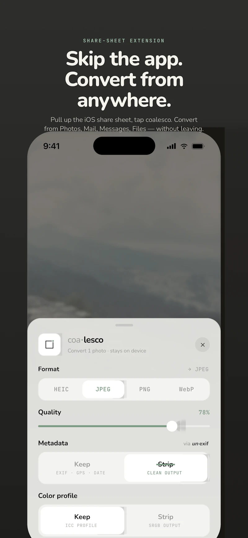 coalesco screenshot 3