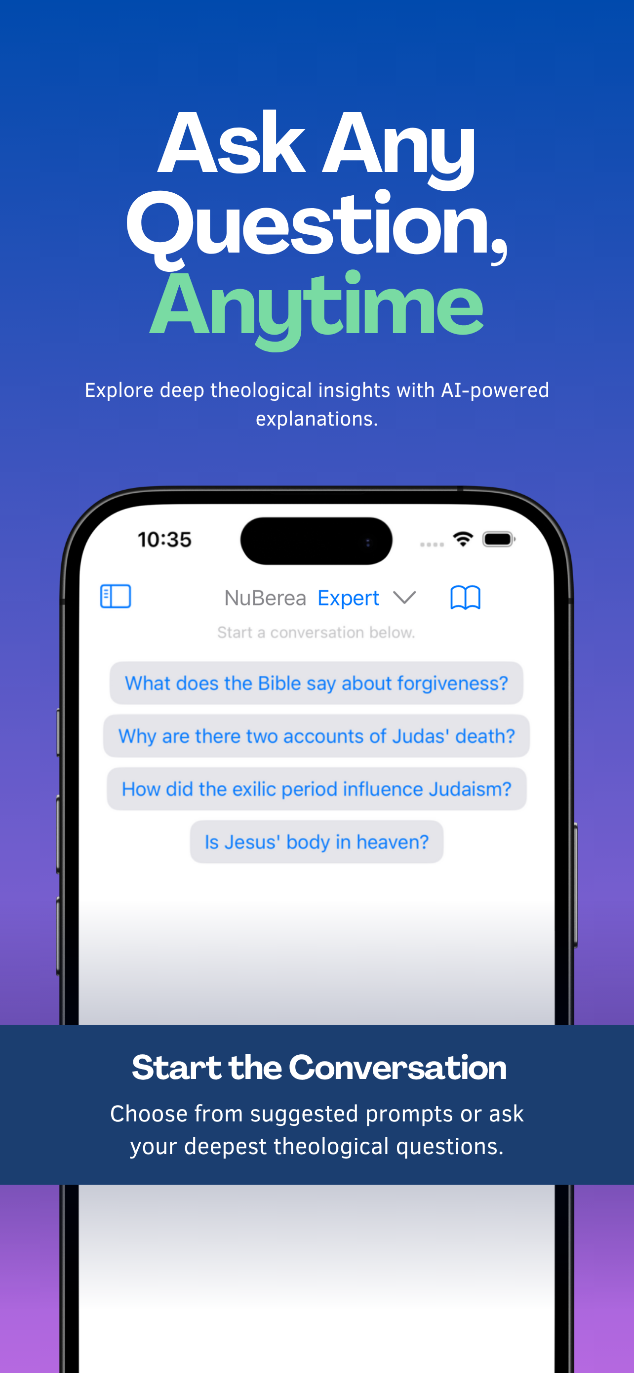 NuBerea - Main product screenshot demonstrating key features and user interface