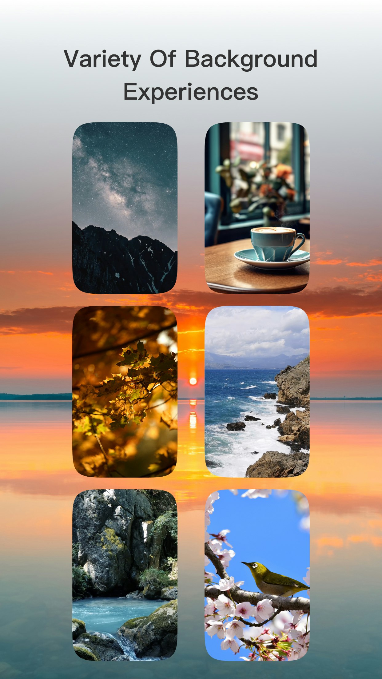 FocuZz gallery image