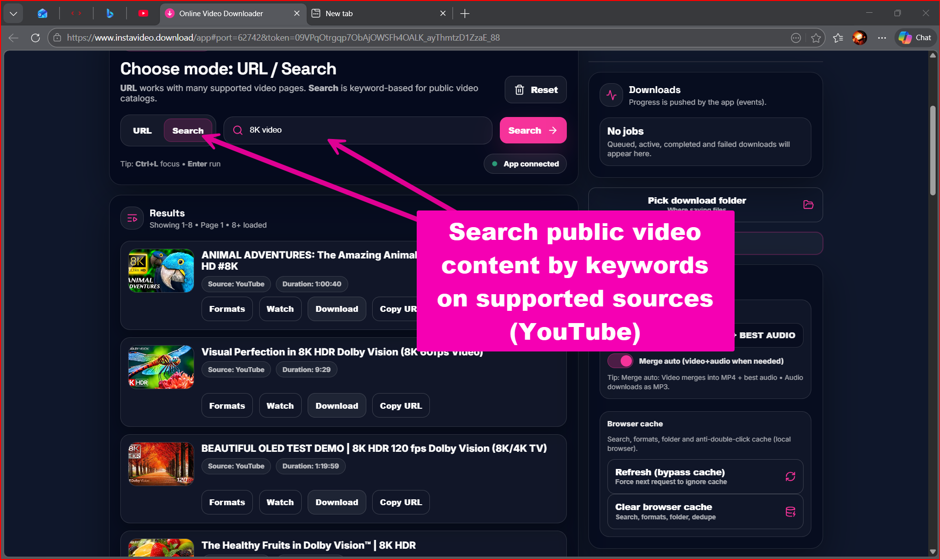 Online Video Downloader gallery image