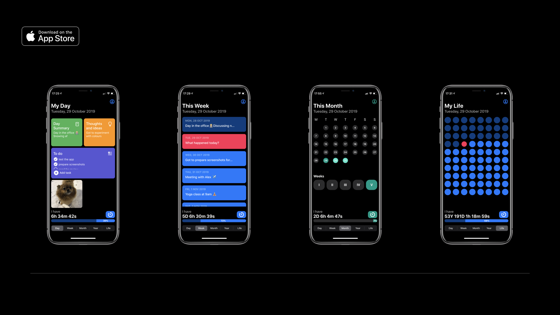 LifeViewer gallery image
