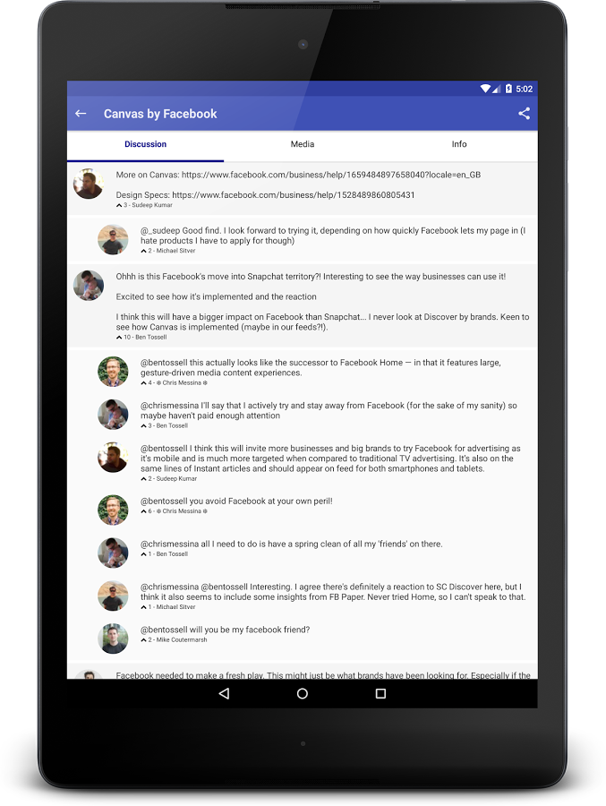 Feline gallery image