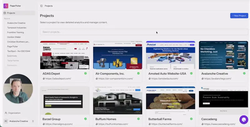 Page Pulse screenshot 1 (video preview)