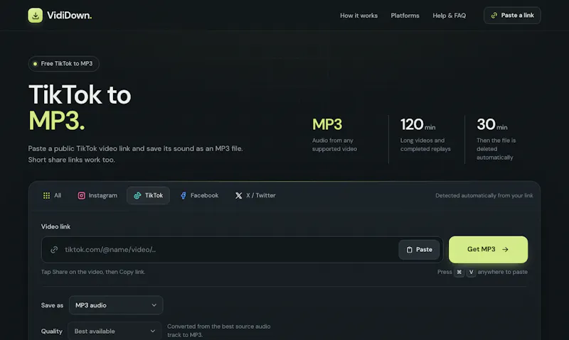 VidiDown screenshot 3