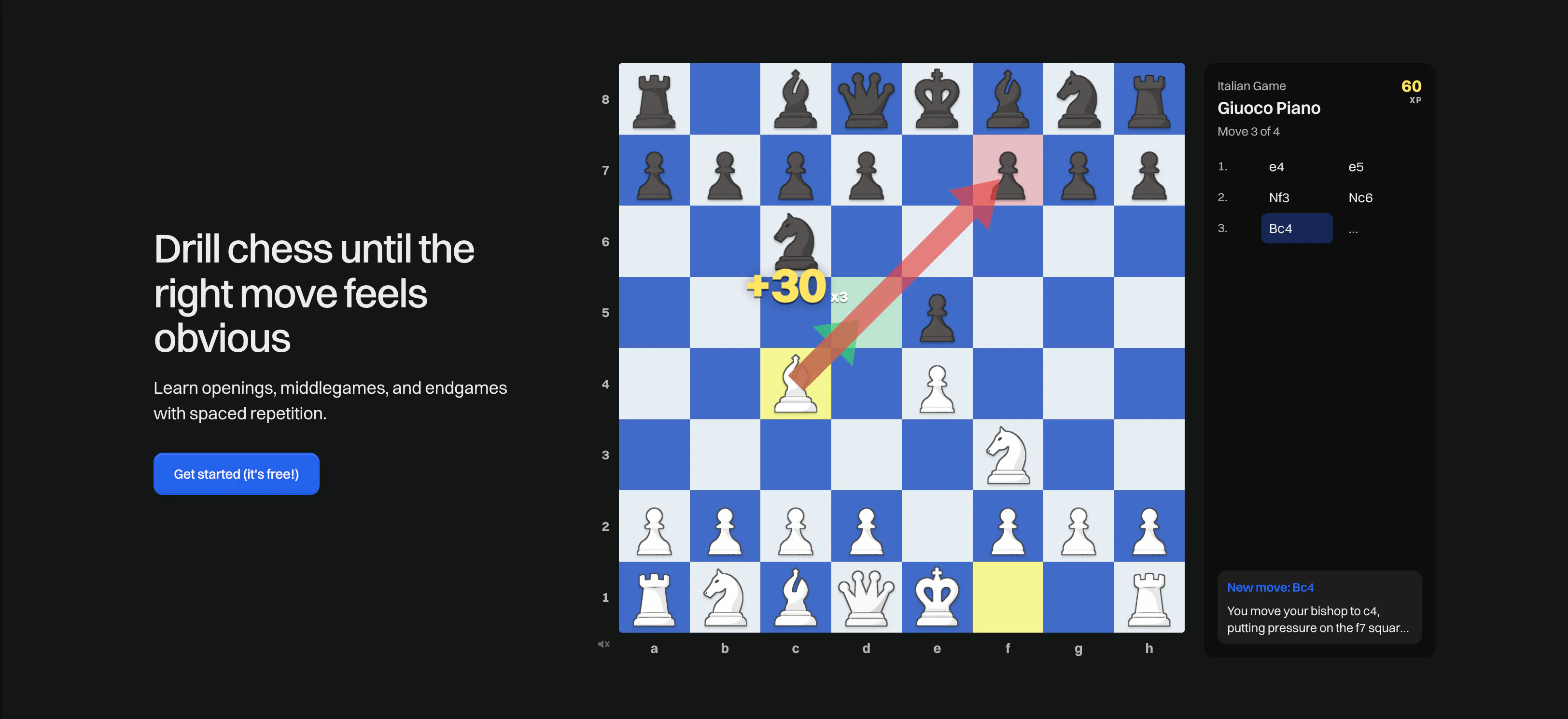 learnchess.fun gallery image