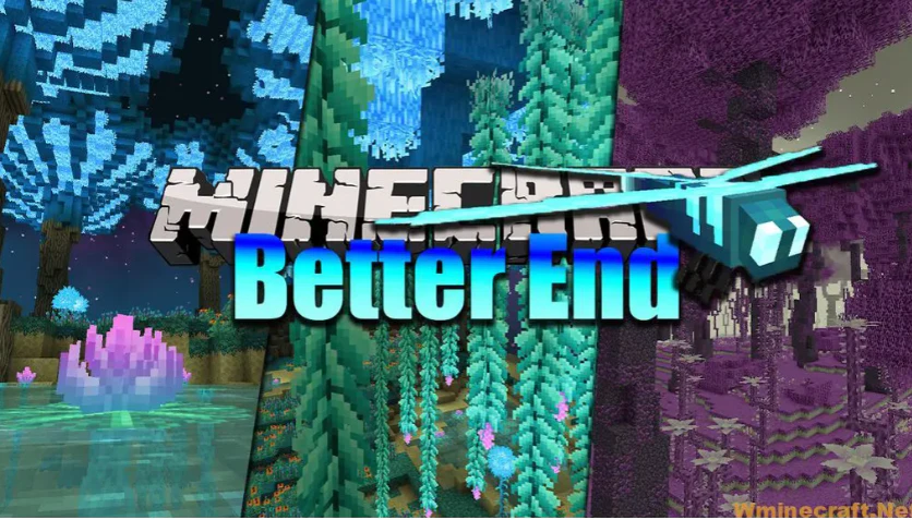 Better End Mod 1.16.4