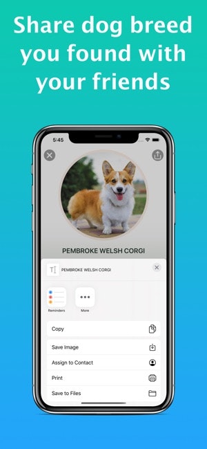 Dog Identifier - Dog Scanner gallery image