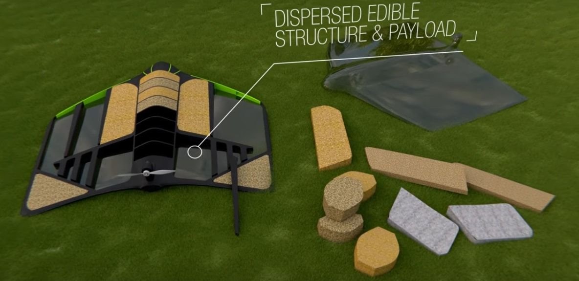 Windhorse Pouncer gallery image