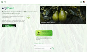 anyPlant gallery image