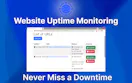 Website Uptime Monitoring