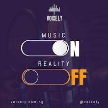 Voixely gallery image