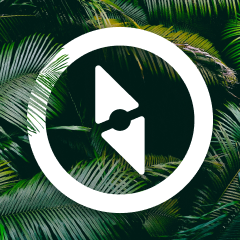 Polarsteps Itineraries and Trip Reel logo