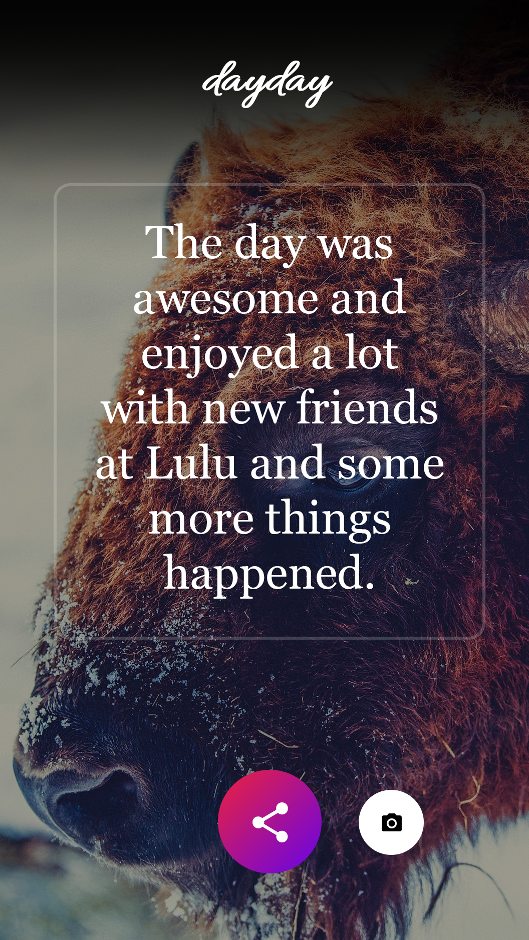 Dayday gallery image