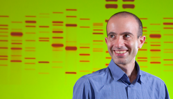 Sapiens gallery image