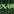Market Algo Hunter