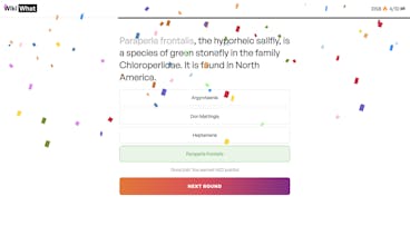 WikiWhat gallery image