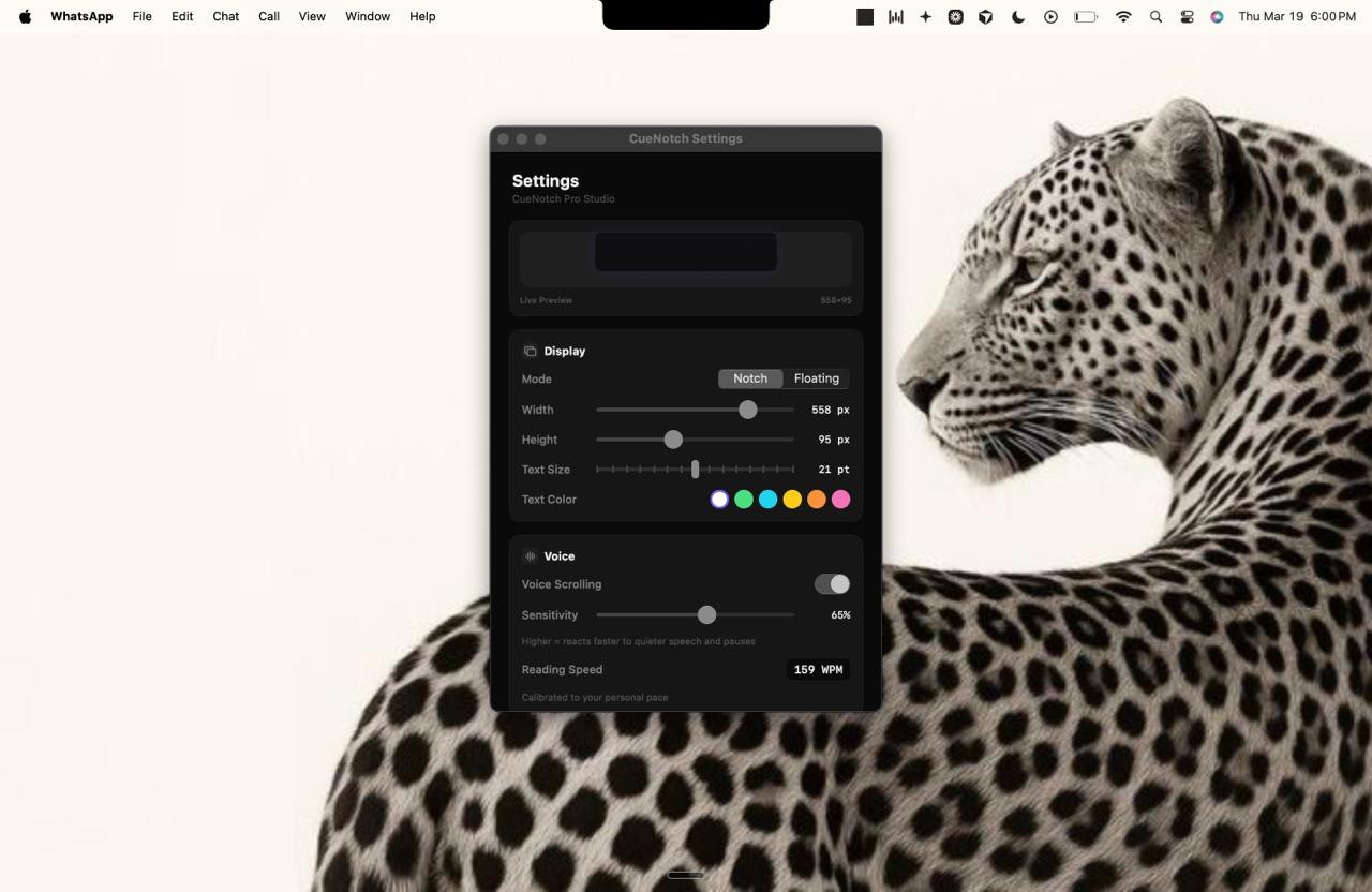 CueNotch gallery image