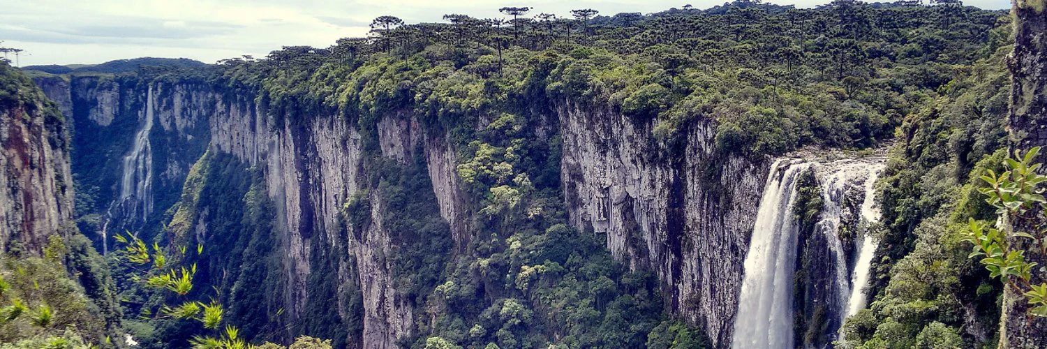 Rafael Camargo cover