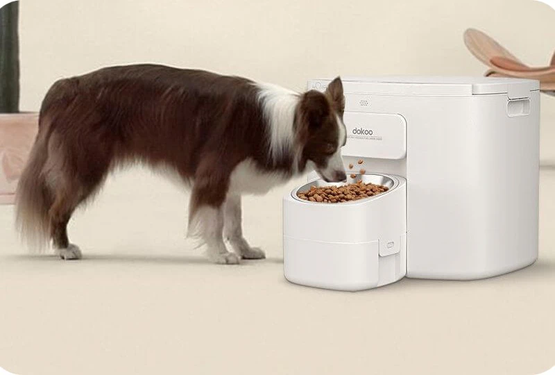 Dokoo Automatic Large Dog Pet Feeder