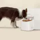 Dokoo Automatic Large Dog Pet Feeder