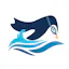 Swim Lesson Club USA