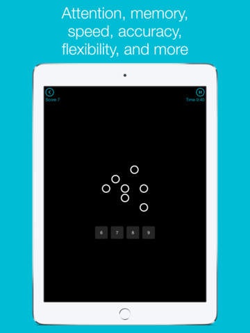 Wunderbrain gallery image